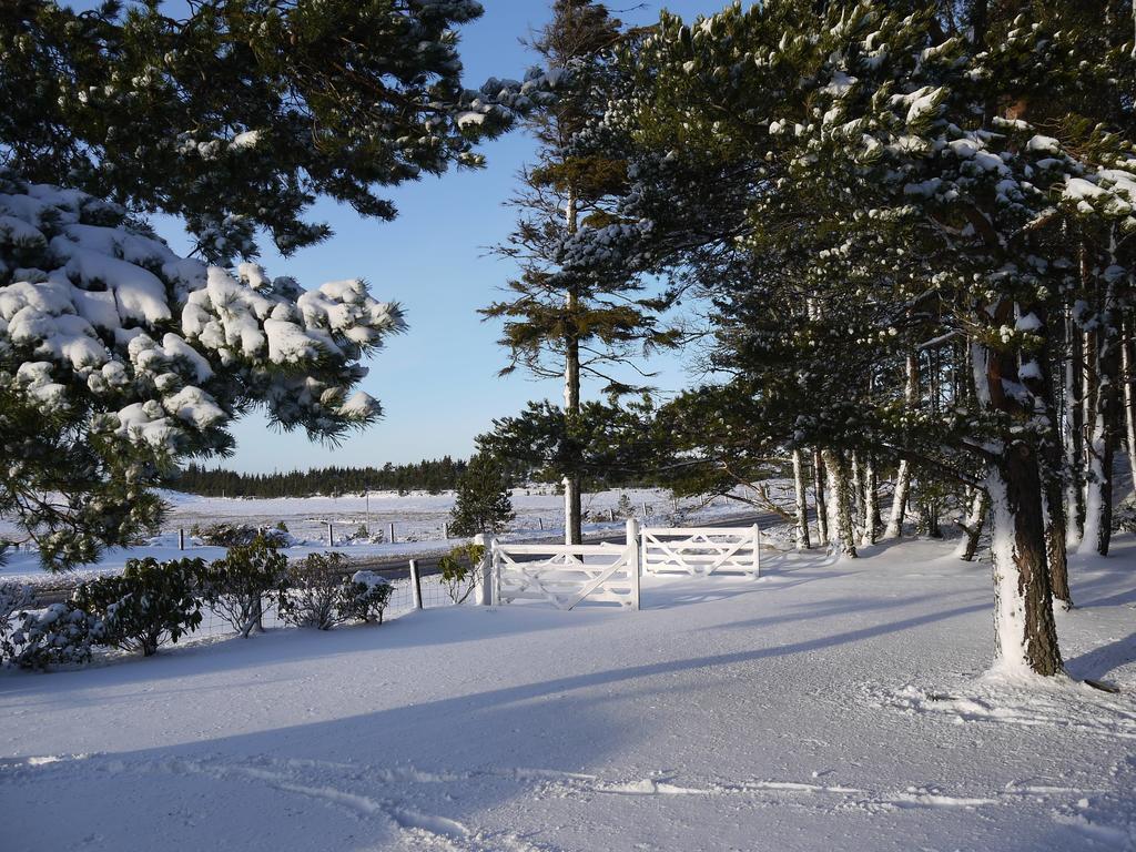 Dava School House Bed and Breakfast Grantown-on-Spey Buitenkant foto