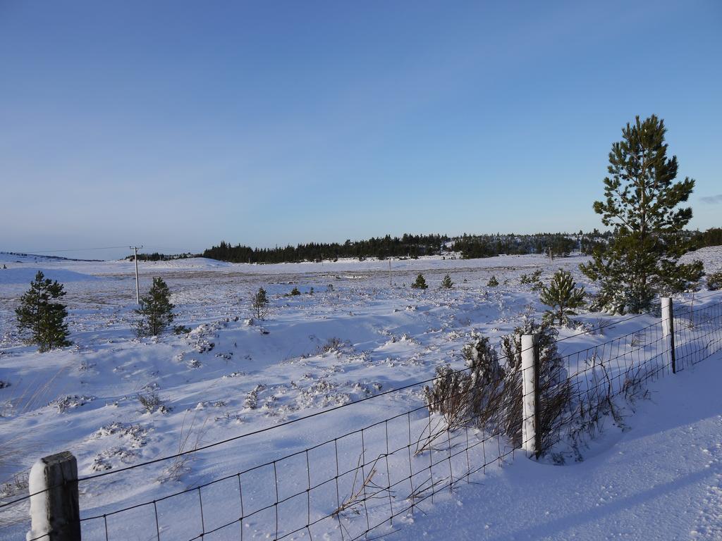 Dava School House Bed and Breakfast Grantown-on-Spey Buitenkant foto