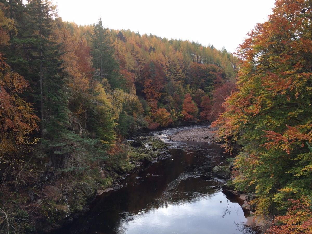Dava School House Bed and Breakfast Grantown-on-Spey Buitenkant foto