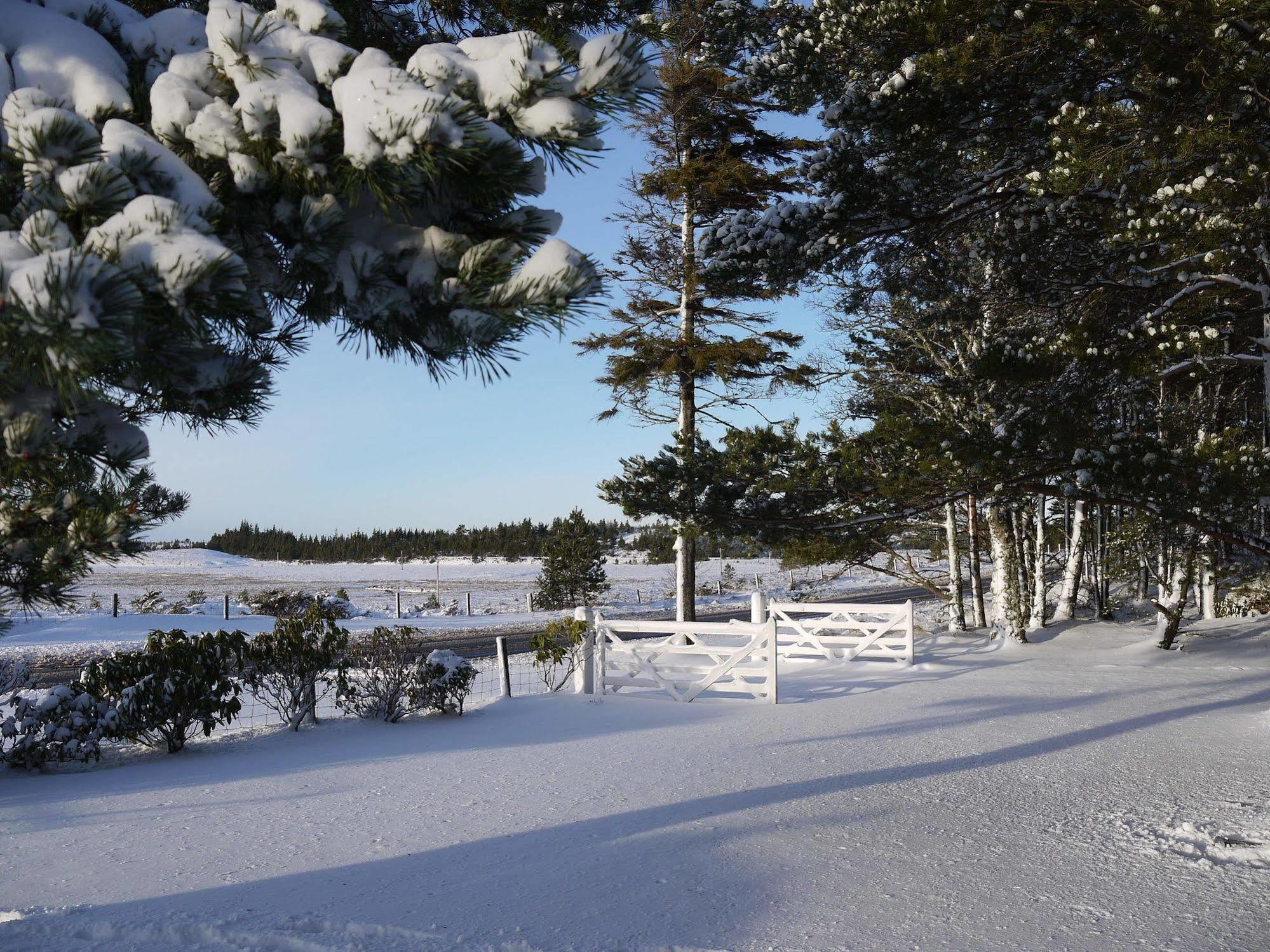 Dava School House Bed and Breakfast Grantown-on-Spey Buitenkant foto